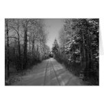 Maine Winter Cards