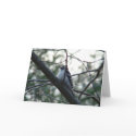 Maine Woodpecker cards by TrendMaker Maine Woodpecker cards