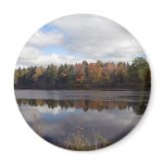 Maine's Beauty magnets