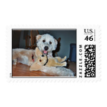 Maisie.jpg postage by anitakasdan Maisie.jpg postage