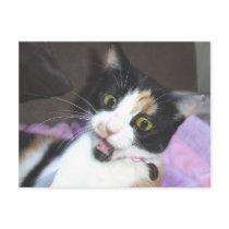 maisie postcards by jennyclaire_art maisie postcards