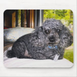 Maitai The Poodle, Mouse Pad.