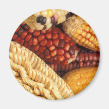 Maize Fridge Magnet