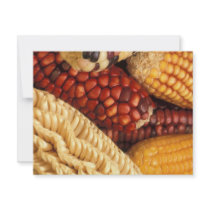 Maize invitations by GPArkive Maize invitations