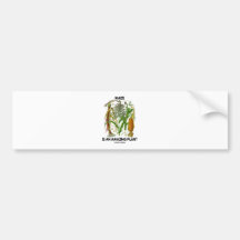 Maize Is An Amazing Plant (Food For Thought) Bumper Sticker