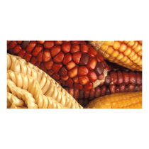 Maize Photo Greeting Card