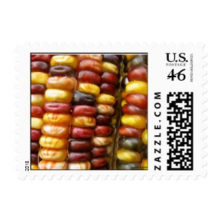 Maize stamp