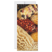 Maize rack cards by GPArkive Maize rack cards
