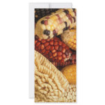 Maize rack cards