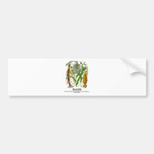Maize The Most Widely Grown Crop In The Americas Bumper Sticker