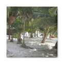 Majahual Palm Covered Beach Magnet