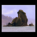 Majestic 8x10 Print photography