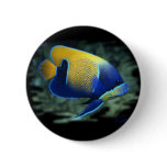 Majestic Angel Fish Pins