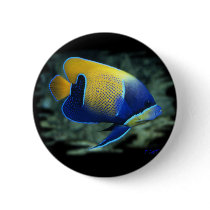 Majestic Angel Fish buttons
