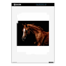 Majestic Arabian iPad 2 Skins
