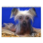 Majestic Art, Fractual Digital Dog Pictures Calendars