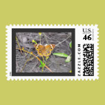 Majestic Butterfly stamps