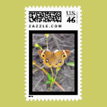 Majestic Butterfly stamps