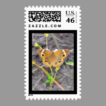 Majestic Butterfly postage