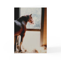 Majestic Clydesdale Greeting Card
