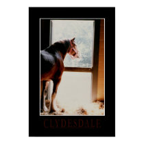Majestic Clydesdale posters by Jack_of_Arts Majestic Clydesdale posters
