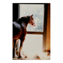 Majestic Clydesdale posters by Jack_of_Arts Majestic Clydesdale posters