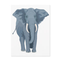 Majestic Elephant Postcards