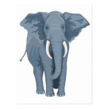 Majestic Elephant Postcards