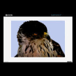 Majestic fractal eagle skins