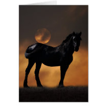 Majestic horse greeting card