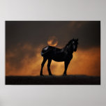 Majestic horse poster