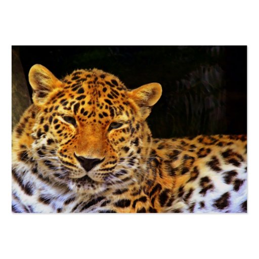Majestic Leopard Business Card (front side)