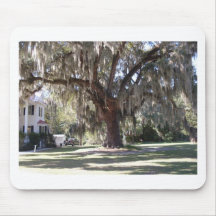 Majestic Live Oak Mouse Pads