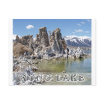 Majestic Mono Lake Postcard
