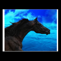 Majestic postcards