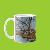 Majestic Sharp Shinned Hawk Mug mugs