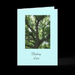 Majestic Tree Get Well Card