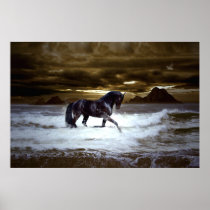 Majestic - Wild Black Stallion Poster