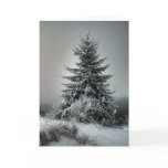 Majestic Winter Card