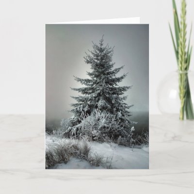 Majestic Winter Card