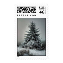 Majestic Winter Postage