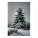 Majestic Winter posters by Digitalwonder Majestic Winter posters