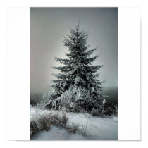 Majestic Winter posters