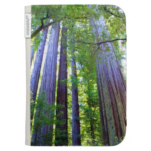 Majesty Kindle Keyboard Covers