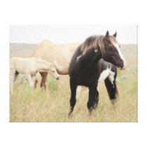 Majesty, Legend of Steens canvas prints