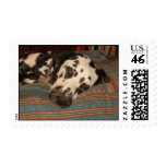 Majik Postage