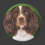 Major - English Springer Spaniel Fridge Magnets