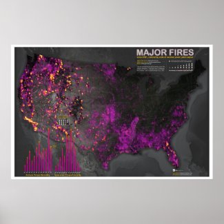 Major Fires Since 2001 Print