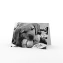 Major League Puppy - Greeting & Note Cards by aestheticchaos Major League Puppy - Greeting & Note Cards