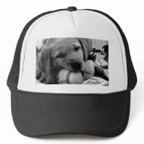 Major League Puppy Mesh Hat